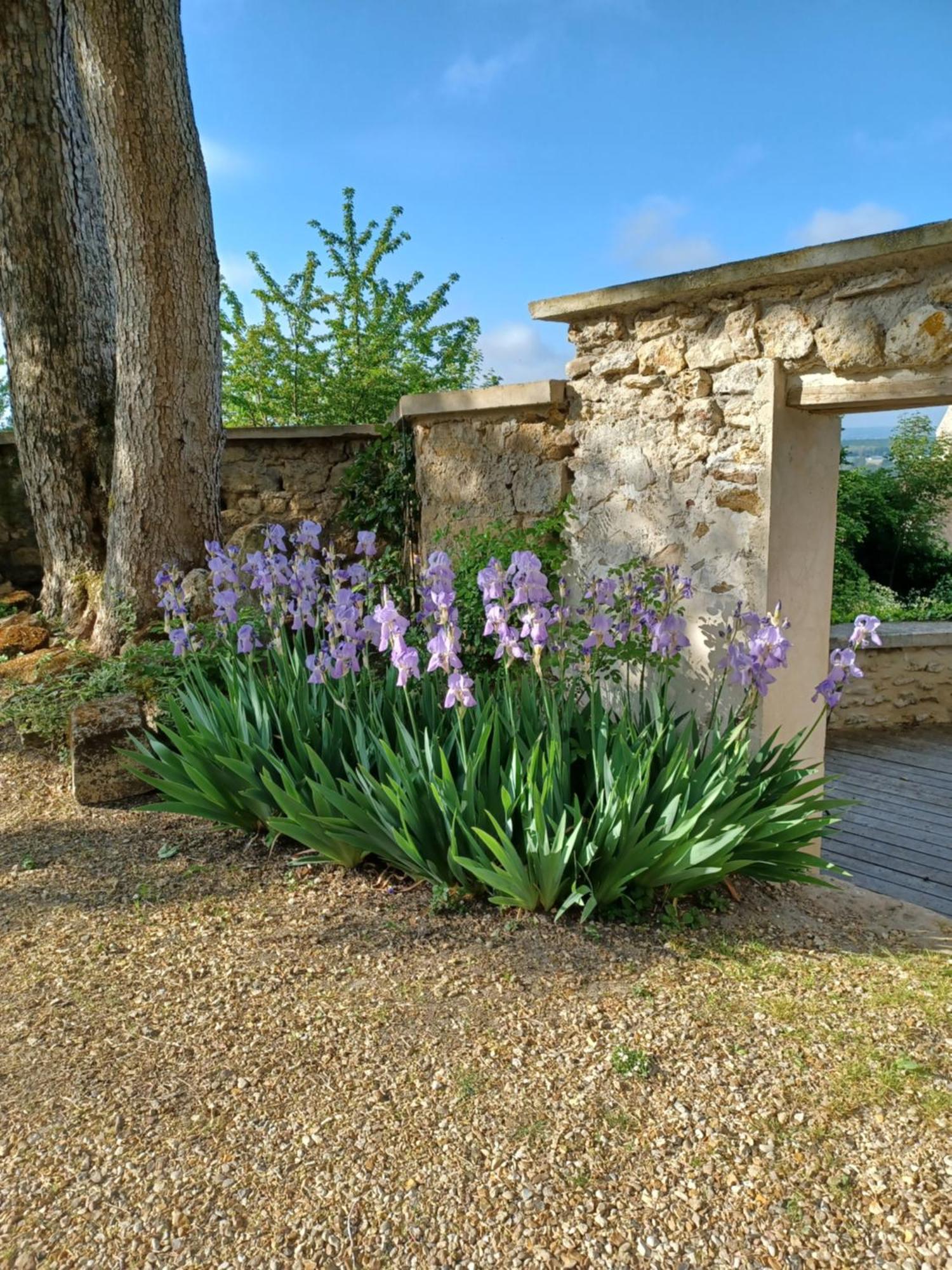 Le Verger Vaux-Sur-Seine Zewnętrze zdjęcie